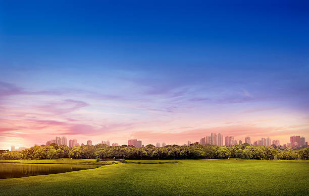 Barigui Park - Curitiba urban landscape