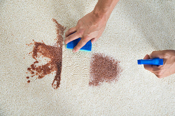 istock Man Cleaning Stain On Carpet With Sponge 585810012