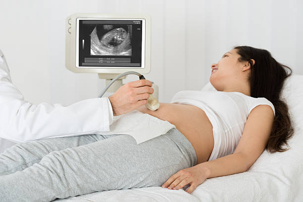 médico realizando ultrassom em mulher esperando - medical equipment ultrasound ultrasound machine human pregnancy - fotografias e filmes do acervo