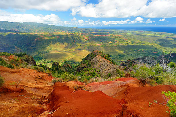 istock Stunning view into Waimea Canyon, Kauai 586045022