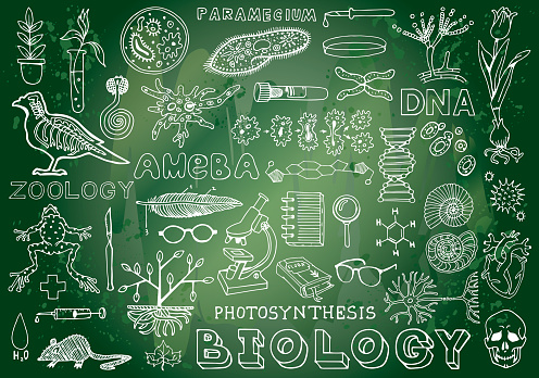 Biology Science Doodle Hand Drawing isolated Elements in Green Chalkboard Background. Science and School Education theme.
