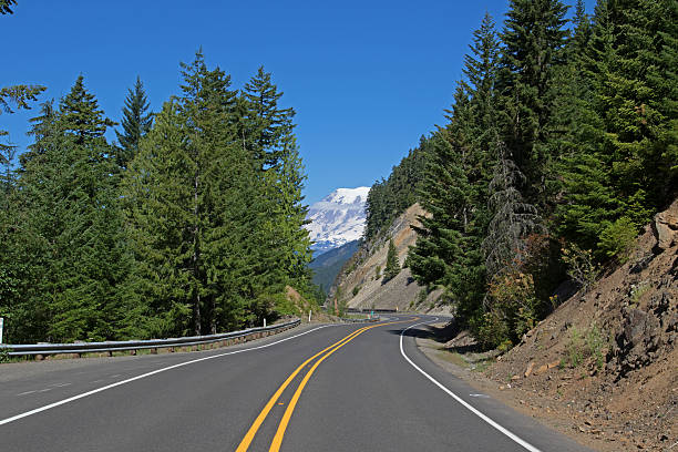 istock Road to Mt Rainier 586047920