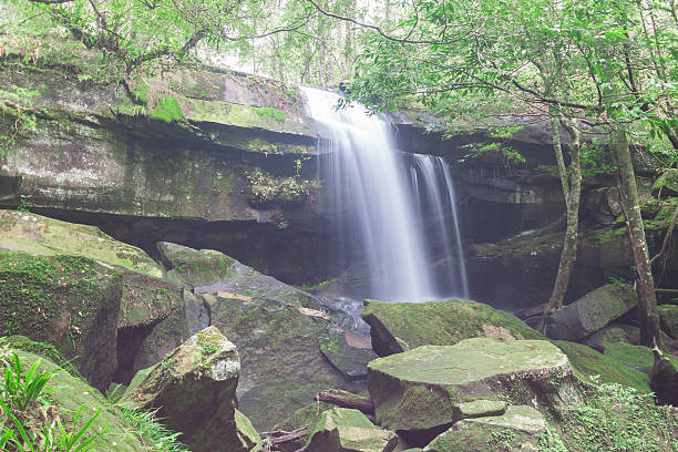 istock Waterfall in Phukradung ,Thailand 586056422