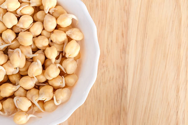 germinated chickpeas in a white bowl stock photo