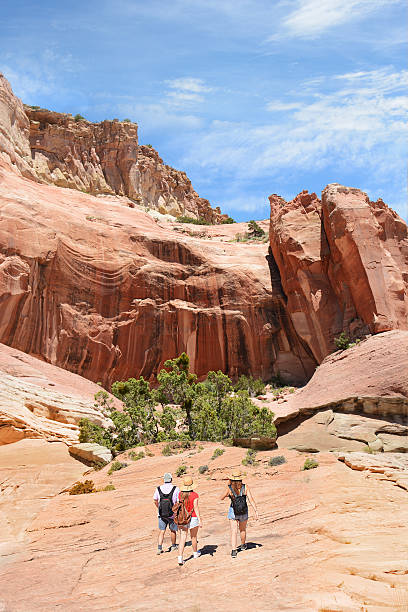 istock People on a hiking trip on summer vacation. 586057172