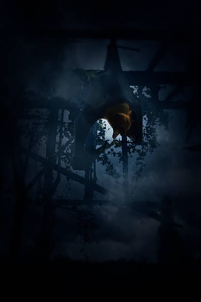 istock Bat scream and hang over old damage window, Halloween concept 586057224