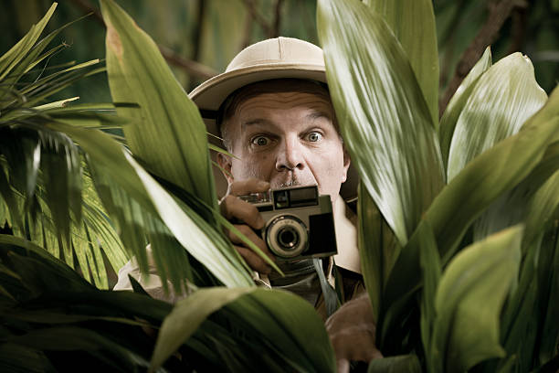 istock Explorer photographer hiding in vegetation 586058178