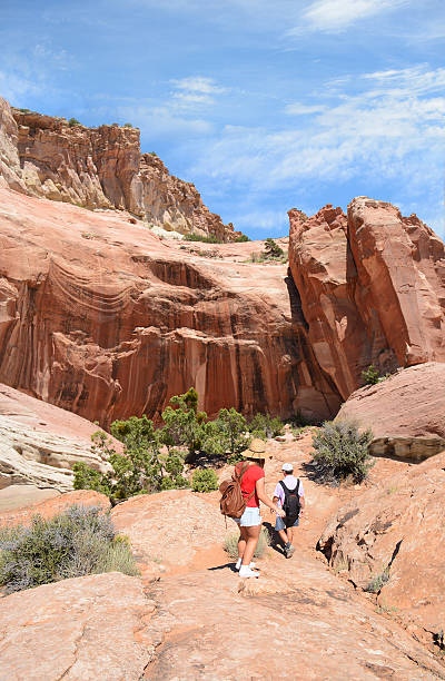 istock People on a hiking trip on summer vacation. 586058430