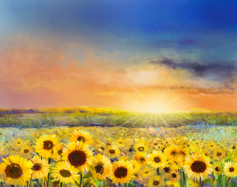 Sunflower flower blossom.Oil painting of rural sunset landscape with golden sunflower field. Warm light of the sunset and hill color in orange and blue color at the background