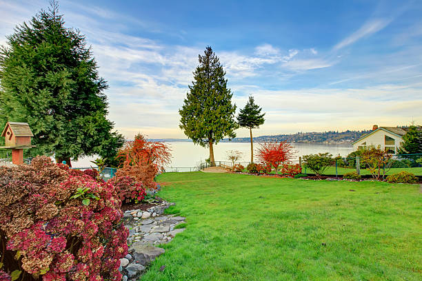 istock BAckyard view of Water Front home in  Redondo Washington 586069650