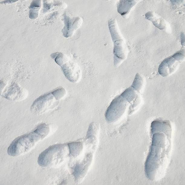 istock Group of footprints in the snow 586069852