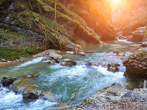 горный ручей в весна. - river spring autumn stream стоковые фото и изображения