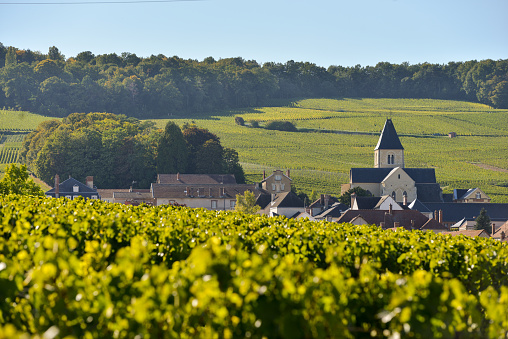 Champagne vineyards and church in Marne department, Champagne-Ardennes, France, Europe