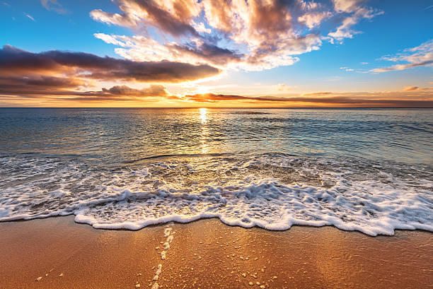 istock Colorful ocean beach sunrise. 586074356
