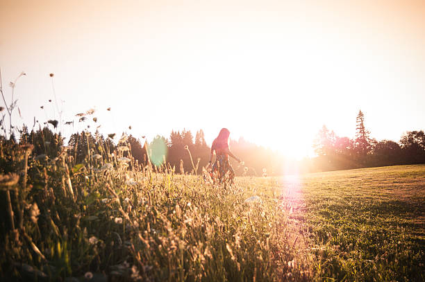 mulher andando pelo prado ao pôr do sol - sunlight summer grass landscaped - fotografias e filmes do acervo