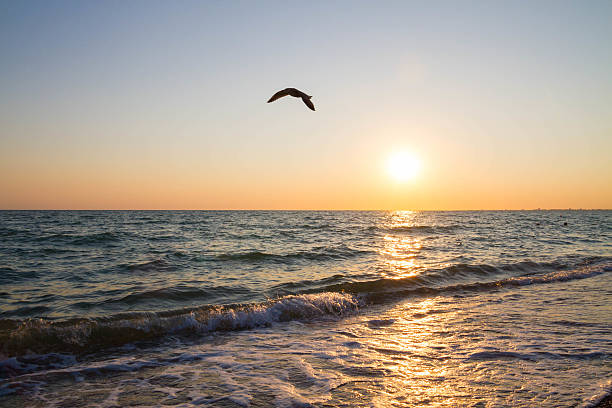 istock Beautiful sunset on the black sea 586082114
