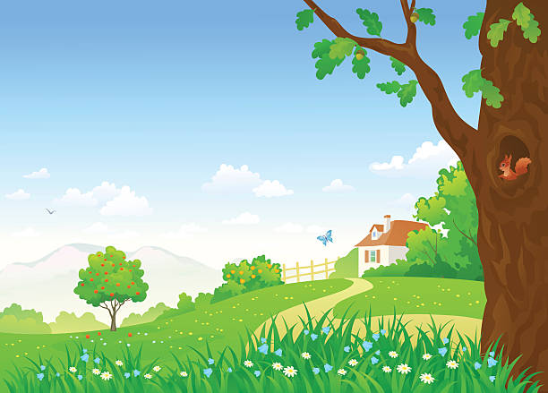 Rural summer scene Vector illustration of a beautiful summer country landscape with a small house and an oak tree. garden pathway stock illustrations