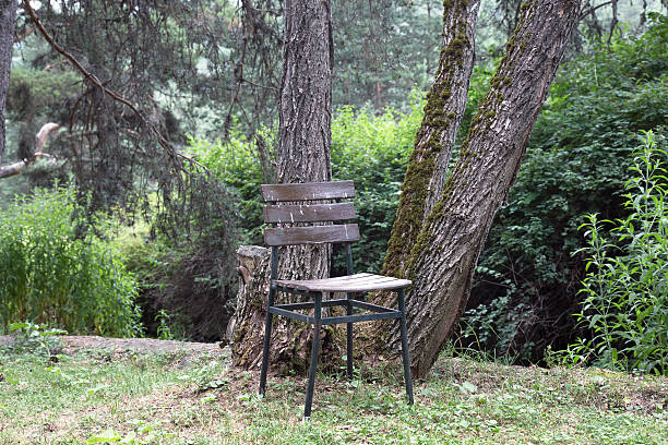 istock park with wooden chairs 586086628