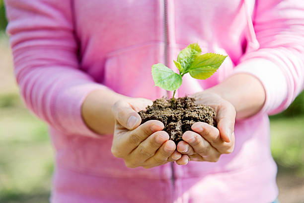 istock Woman hands holding a small plant 586161294