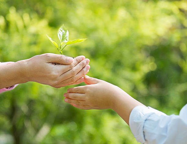 istock Mother and son hands holding new plant 586161956