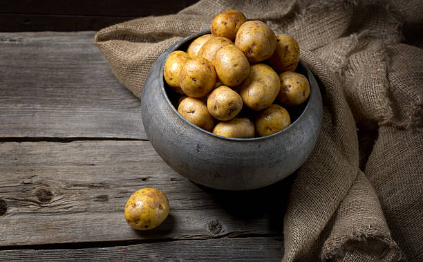 istock Fresh potatoes in old traditional Russian pot 586162546