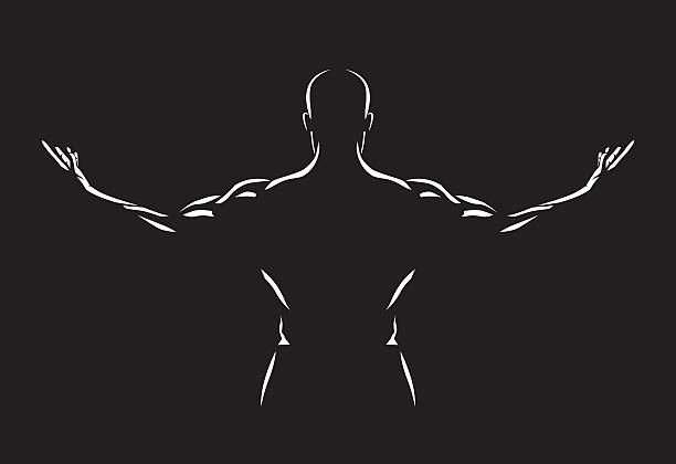 illustrations, cliparts, dessins animés et icônes de homme étalant les bras pour montrer les muscles du dos - men muscular build body building sensuality