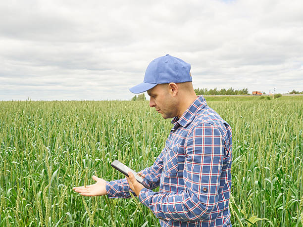 istock Farmer in plaid shirt controlled his field  looking at tablet 586166160