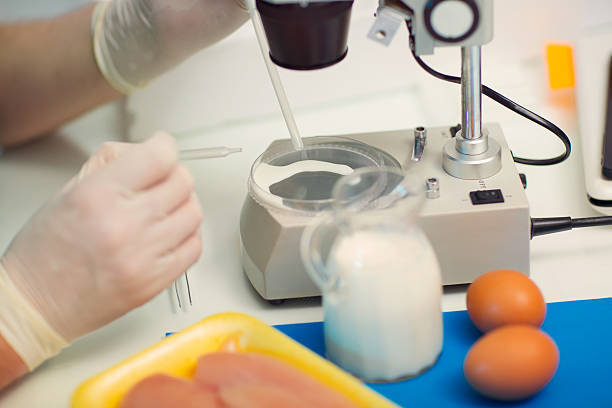 istock Food quality control expert inspecting a milk 586166678