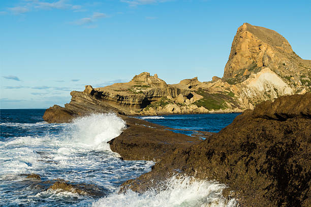 frente de arrecifes de castlepoint - castlepoint fotografías e imágenes de stock