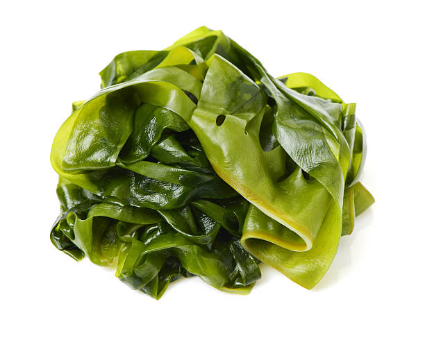 istock soaked wakame seaweed 586169346