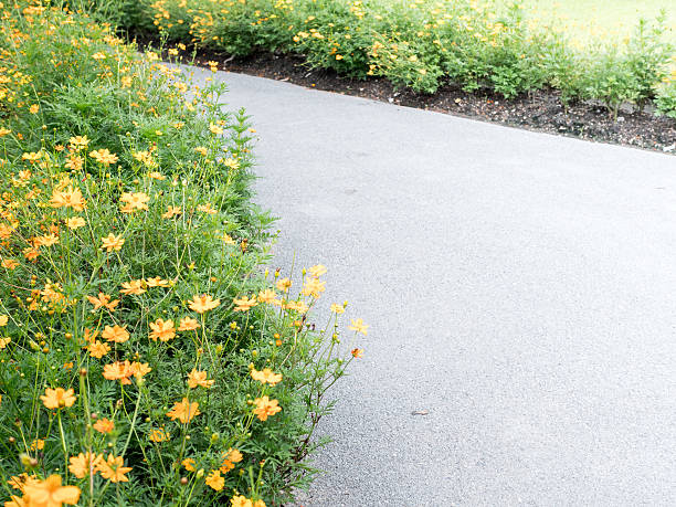 istock Cosmos flower garden, soft focus and retro 586169424