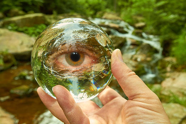 boule de cristal - transparent crystal crystal ball human hand photos et images de collection