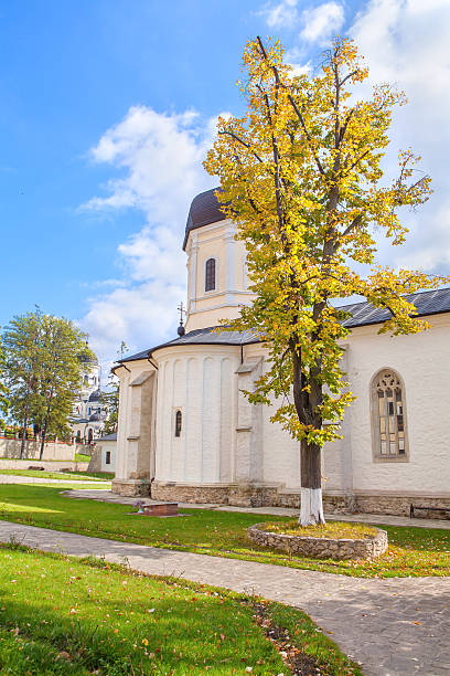 istock in the churchyard 586174934