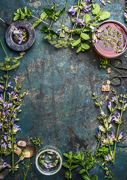 istock Herbal tea background with various fresh healing herbs and flowers 586177056