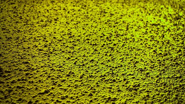 lime green wand textur - knobbly stock-fotos und bilder