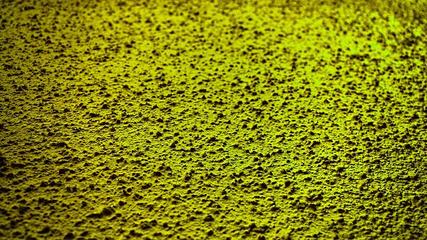 texture murale vert lime - knobbly photos et images de collection