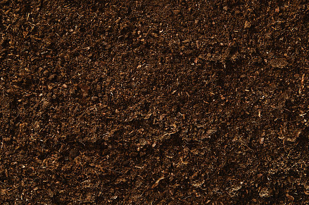 istock Soil texture background seen from above, top view. 586184474