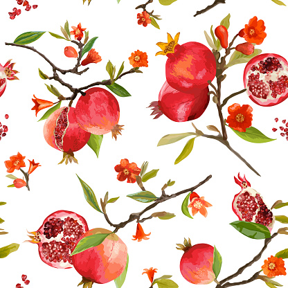 Seamless Pattern. Pomegranate Tropical Background. Floral Pattern. Flowers, Leaves, Fruits. Vector