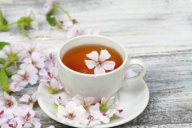 istock Tea from Marsh mallow, lat. Althaea officinalis 586187454