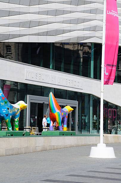The Museum of Liverpool. Liverpool, United Kingdom - June 11, 2015: The Museum of Liverpool building at Pier Head with Superlambananas in the foreground and people enjoying the sights, Liverpool, Merseyside, England, UK, Western Europe. superlambanana sculpture in liverpool stock pictures, royalty-free photos & images