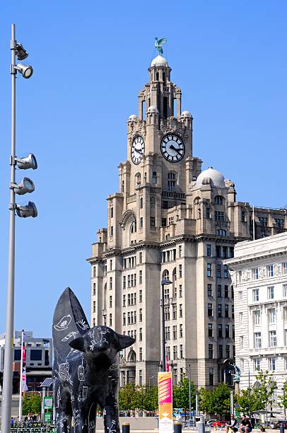 Royal Liver Building, Liverpool. Liverpool, United Kingdom - June 11, 2015: The Royal Liver Building with a Superlambanana in the foreground at Pier Head and people enjoying the sights, Liverpool, Merseyside, England, UK, Western Europe. superlambanana sculpture in liverpool stock pictures, royalty-free photos & images