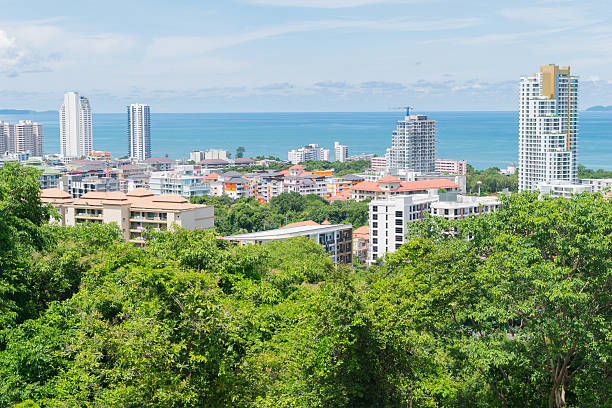 istock Building skyscraper with trees and near sea with blue sk 586188924