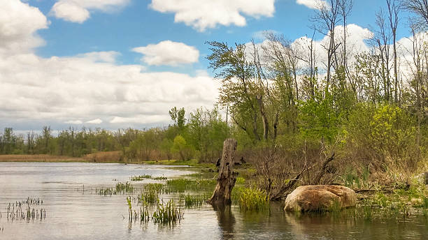 istock Round Lake Natural Growth Plants Shore Line, NY 586190458