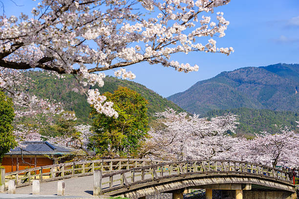 istock Arashiyama, Kyoto in Spring 586195670