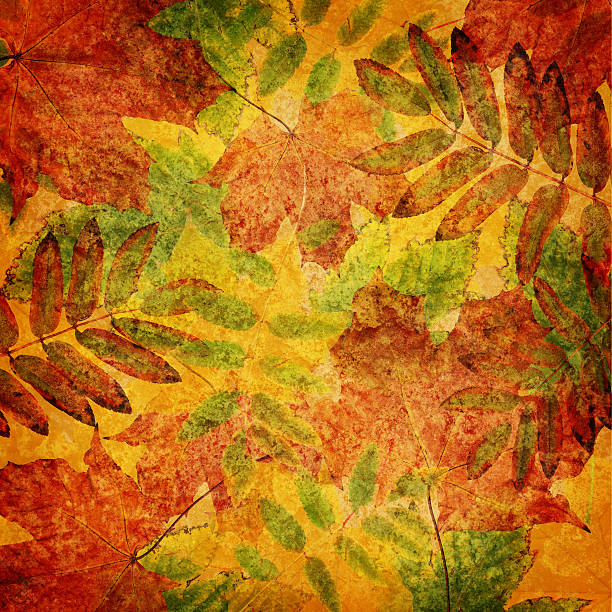 istock Autumn background with dried leaves 586198270