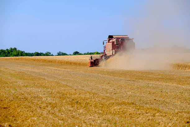 istock Harvester gathers the wheat crop 586203736