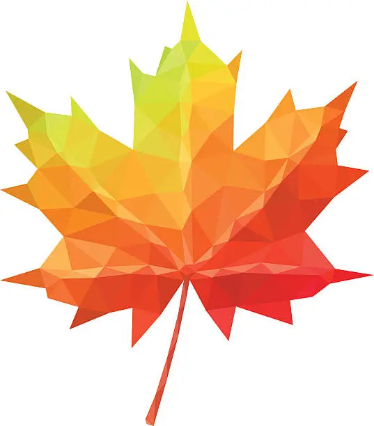 Vector illustration of Low poly vector maple leaf geometric pattern