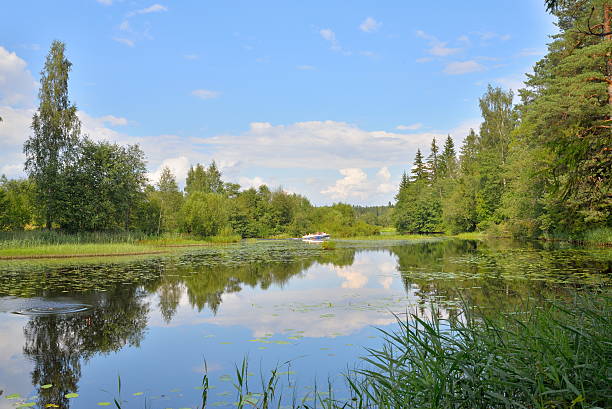 istock Landscape from forest river with a boat and reeds and 586204720