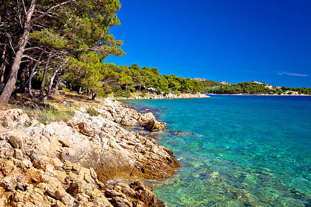 istock Turquoise sea and stone beach view 586209086