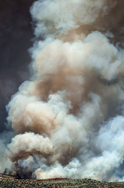 istock Dense White Smoke Rising from the Raging Wildfire 586209638